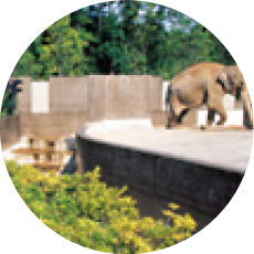 いしかわ動物園